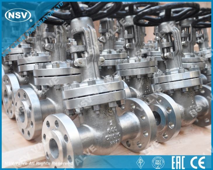 A494 CW6MC hliðarventill