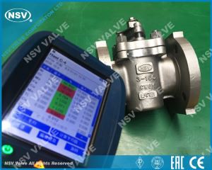 CW6M ermaprófsventill