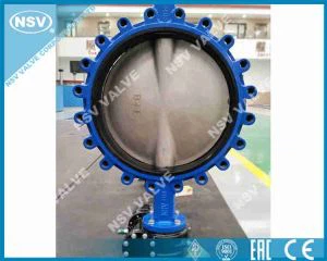 Lug Concentric Butterfly Valve