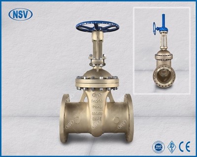 C95800 Cast Gate Valve