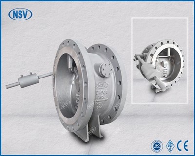 Hallandi diskur eftirlitsventill með mótvægi